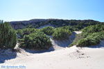 Paradise Beach Kos | Eiland Kos | Griekenland foto 9