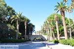 Kos stad (Kos-stad) | Eiland Kos | Griekenland foto 9