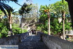 Kos stad (Kos-stad) | Eiland Kos | Griekenland foto 12