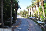 Kos stad (Kos-stad) | Eiland Kos | Griekenland foto 13