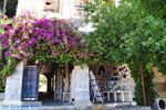 Kos stad (Kos-stad) | Eiland Kos | Griekenland foto 28