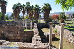 Kos stad (Kos-stad) | Eiland Kos | Griekenland foto 33