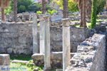 Kos stad (Kos-stad) | Eiland Kos | Griekenland foto 35