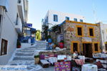 Kos stad (Kos-stad) | Eiland Kos | Griekenland foto 51