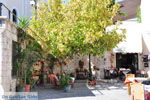 Kos stad (Kos-stad) | Eiland Kos | Griekenland foto 80