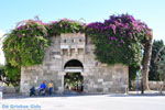 Kos stad (Kos-stad) | Eiland Kos | Griekenland foto 93