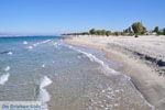 Marmari Kos | Eiland Kos | Griekenland foto 1