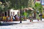 Mastichari Kos | Eiland Kos | Griekenland foto 7
