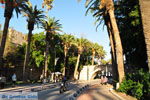 Kos stad (Kos-stad) | Eiland Kos | Griekenland foto 139