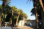 Kos stad (Kos-stad) | Eiland Kos | Griekenland foto 140